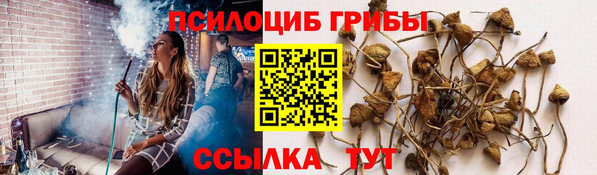 Псилоцибиновые грибы Cubensis  Вход с VPN  Кандалакша  Галлюциногенные грибы GOLDEN TEACHER 